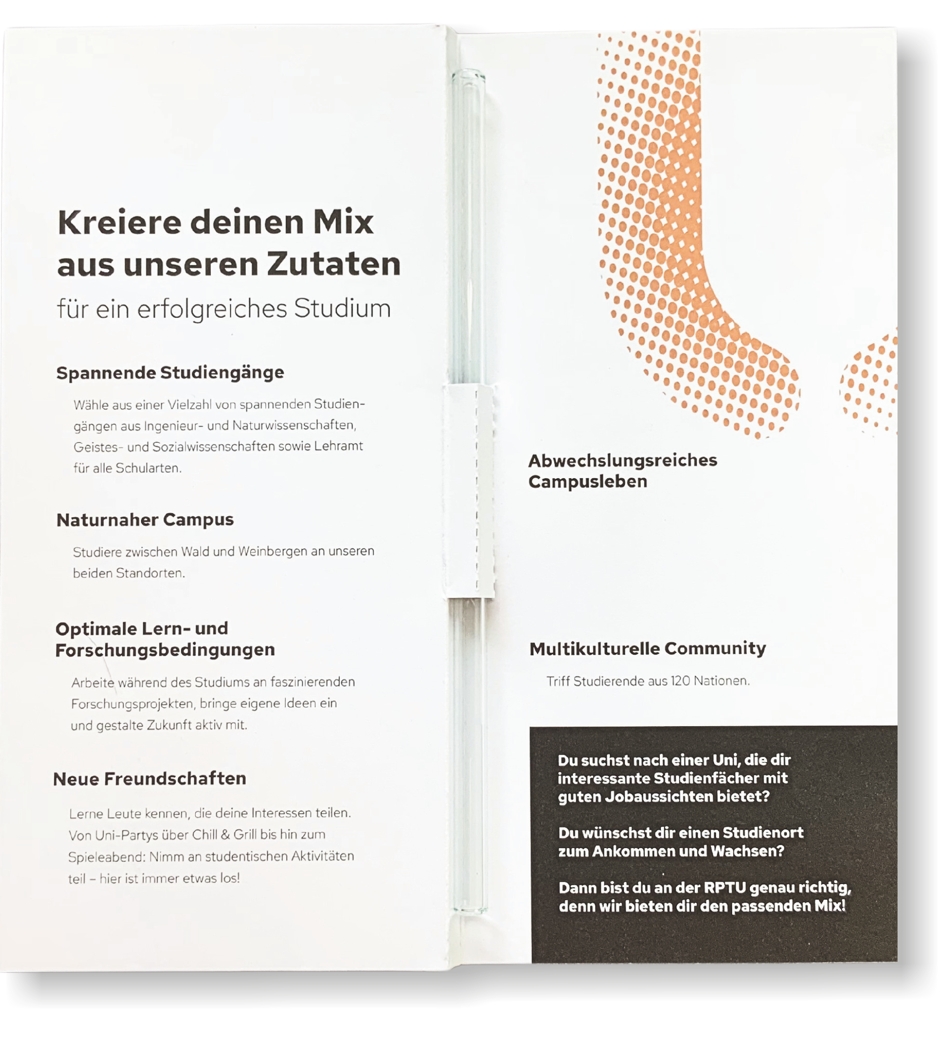 ecotaste - 1-er Karte Trinkhalme klar oder farbig in Faltkarte