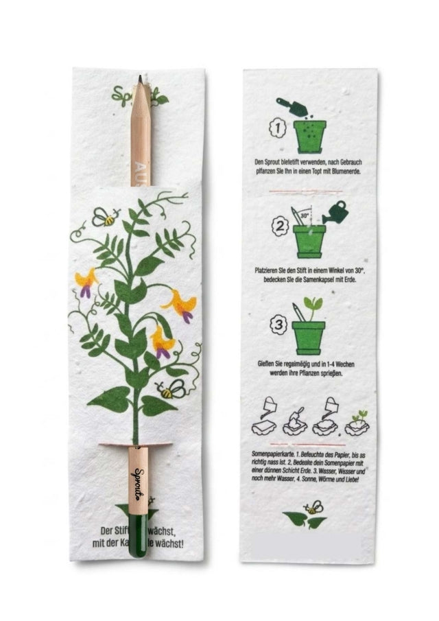 SPROUT_Samenpapier Ansteckkärtchen gross für Stifte