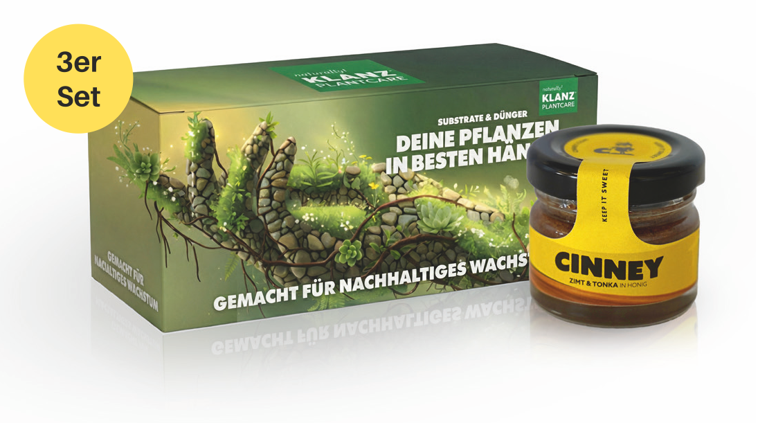 CINNEY Aufstrich 3-er Set Minis